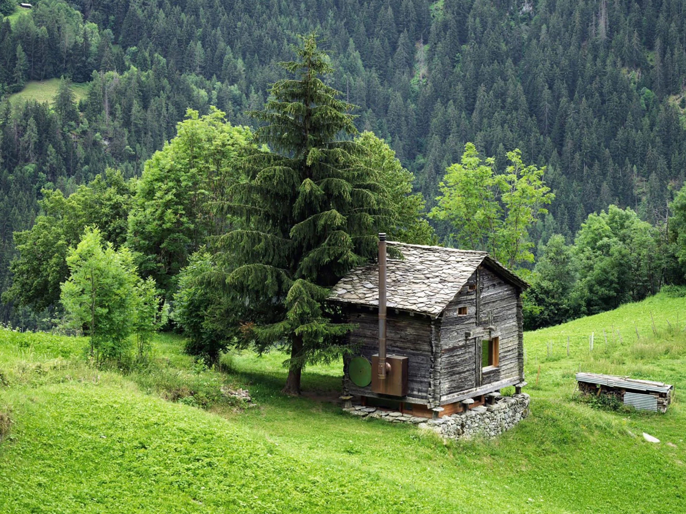 Tiny Swiss cabin has a very modern interior