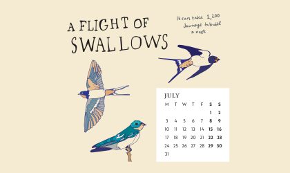 Download our calendar artwork featuring collective nouns for birds