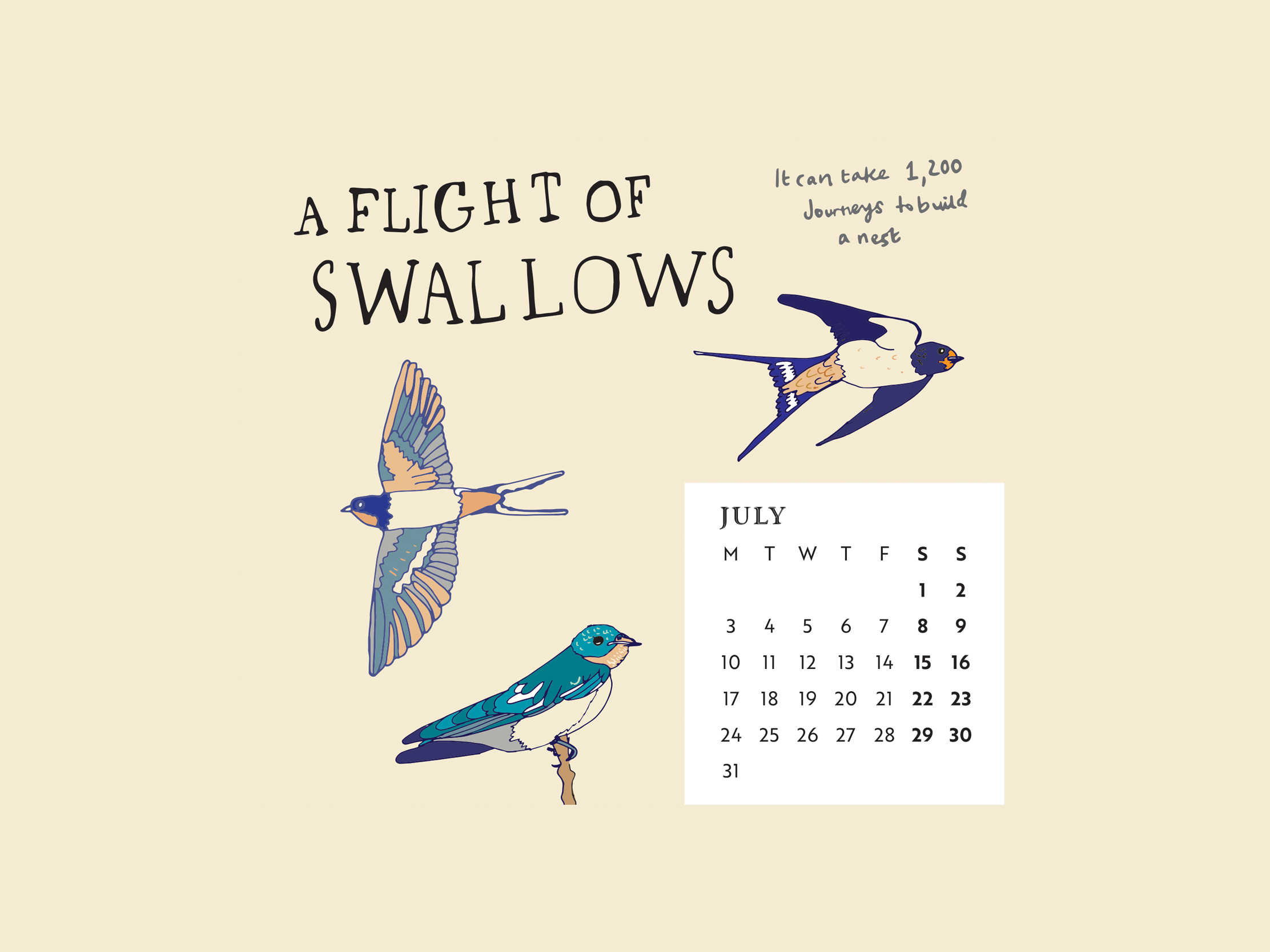 Download our calendar artwork featuring collective nouns for birds