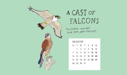 Download our calendar artwork featuring collective nouns for birds