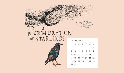 Download our calendar artwork featuring collective nouns for birds