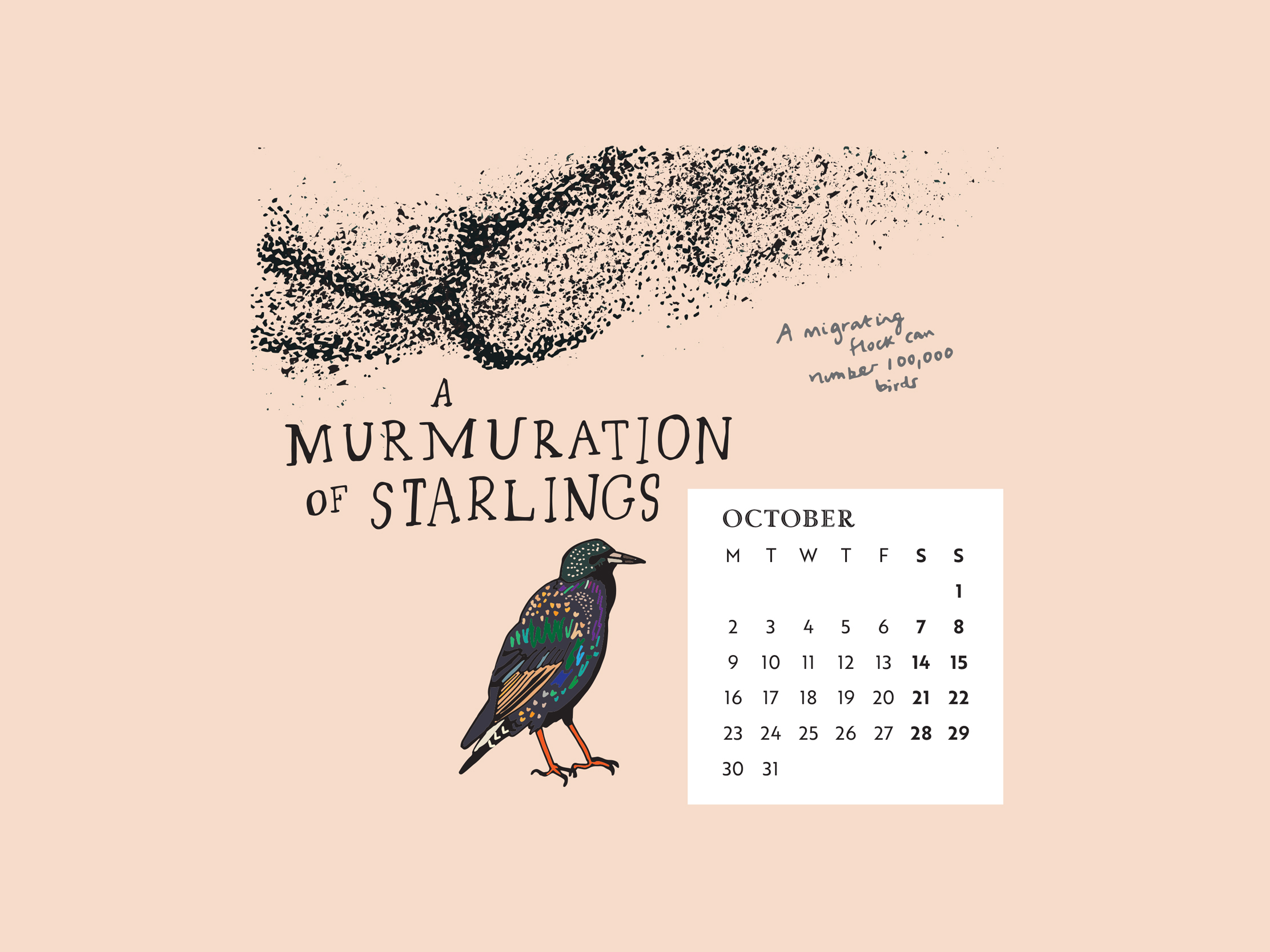 Download our calendar artwork featuring collective nouns for birds