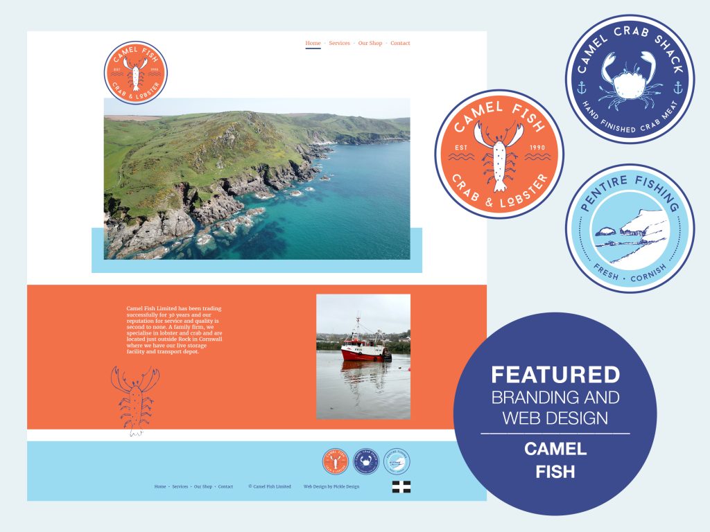Branding and web design for Camel Fish