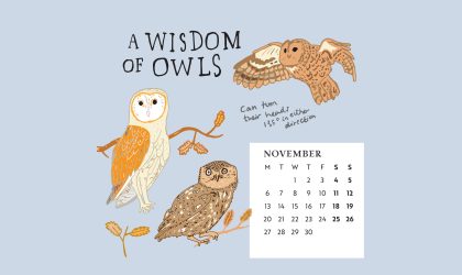 Download our calendar artwork featuring collective nouns for birds