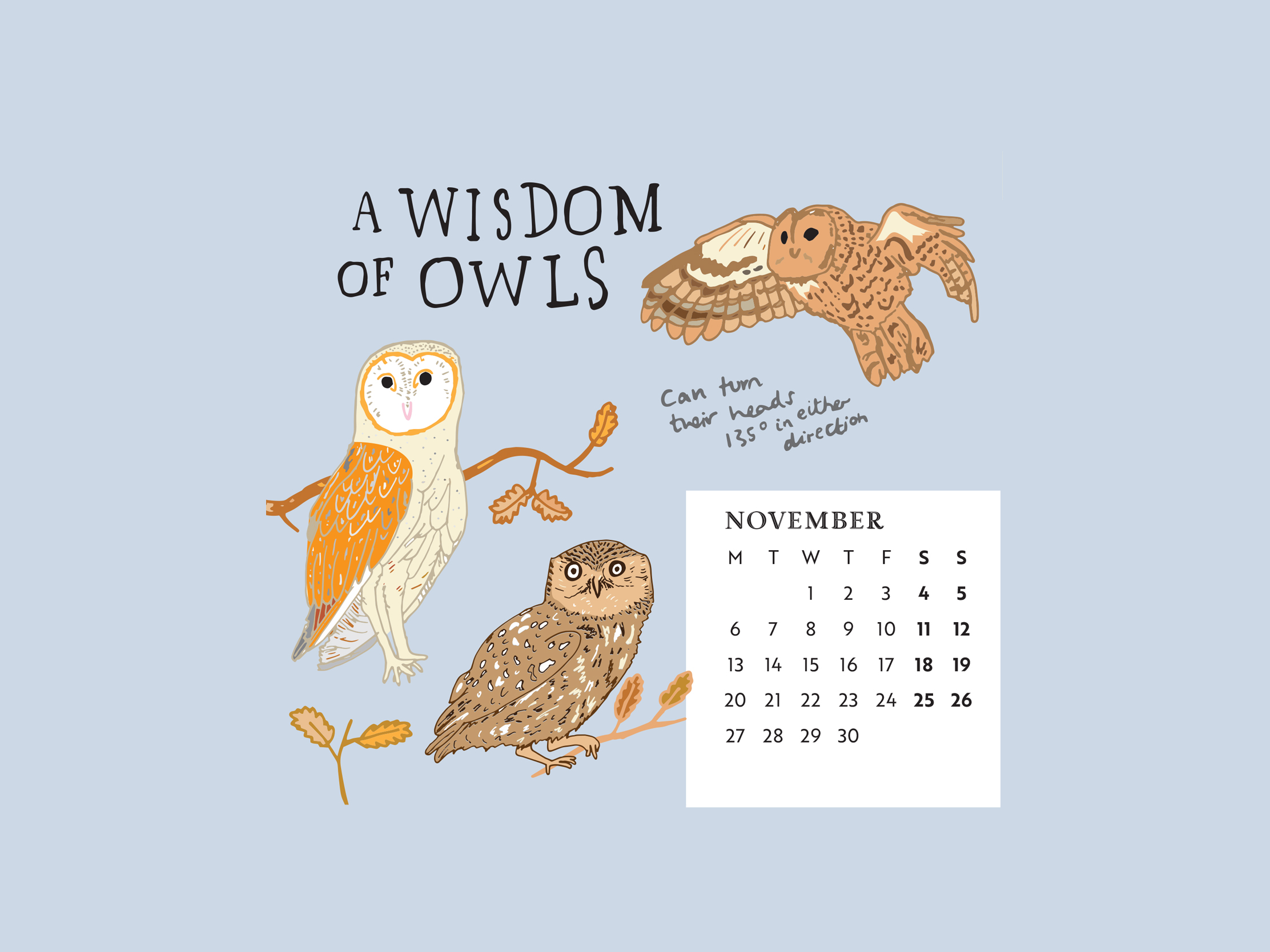 Download our calendar artwork featuring collective nouns for birds