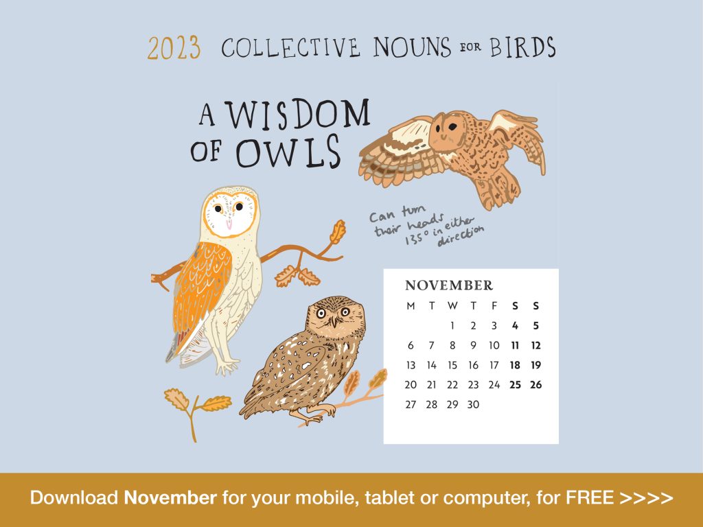 November-Calendar-Website-Slider-A-Wisdom-of-Owls