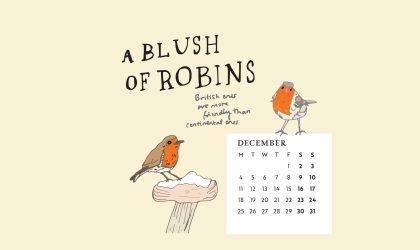 Download our calendar artwork featuring collective nouns for birds