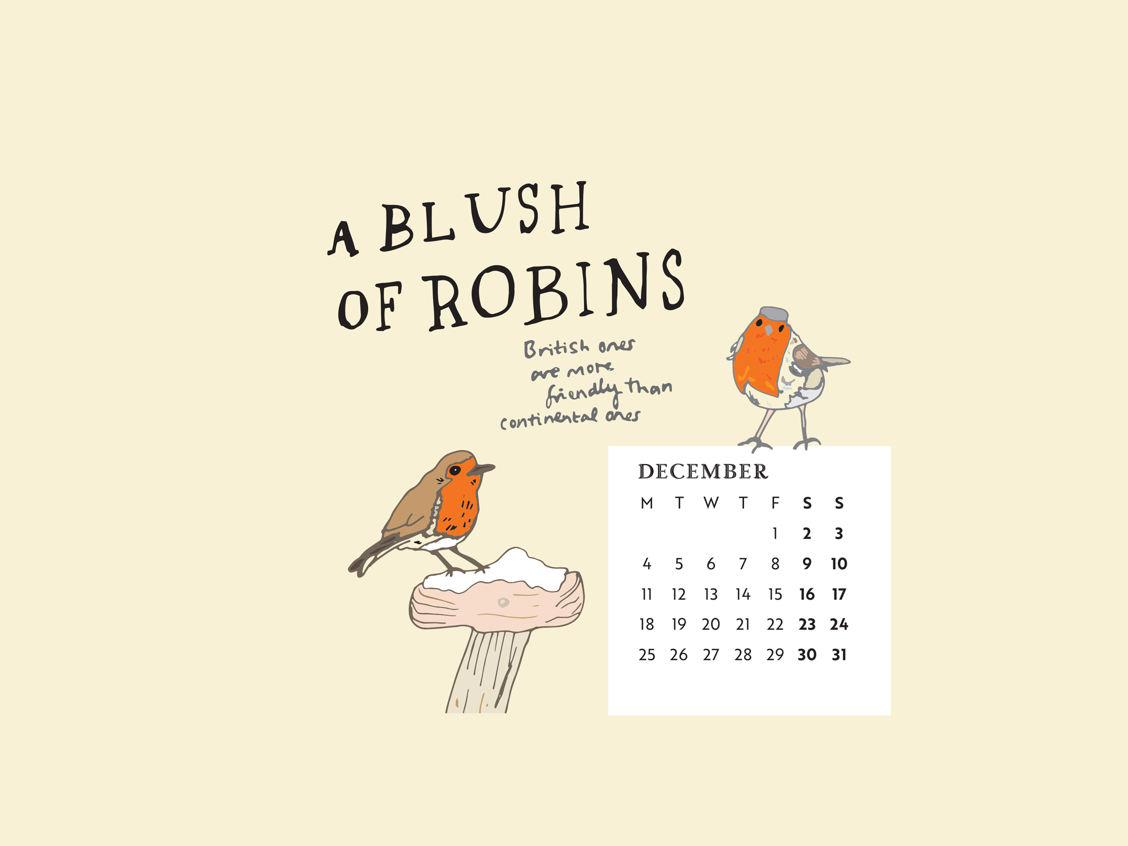 Download our calendar artwork featuring collective nouns for birds