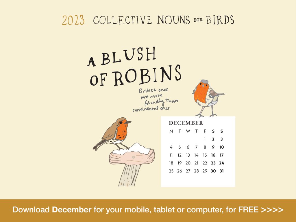 December-Calendar-Website-Slider-A-Blush-of-Robins