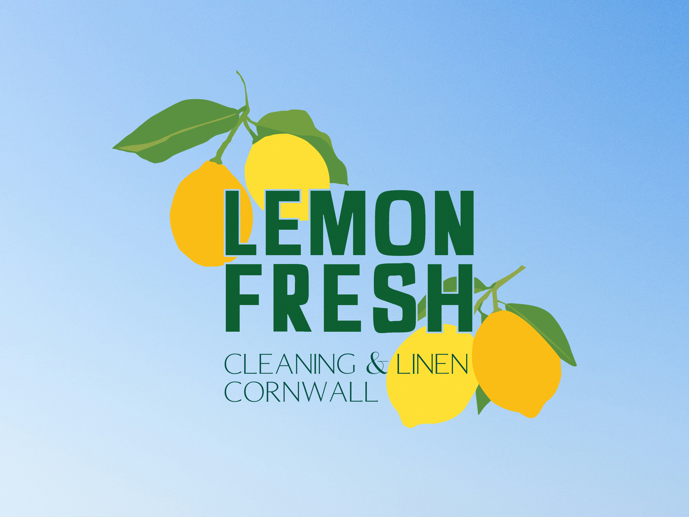 Brand photography for Lemon Fresh
