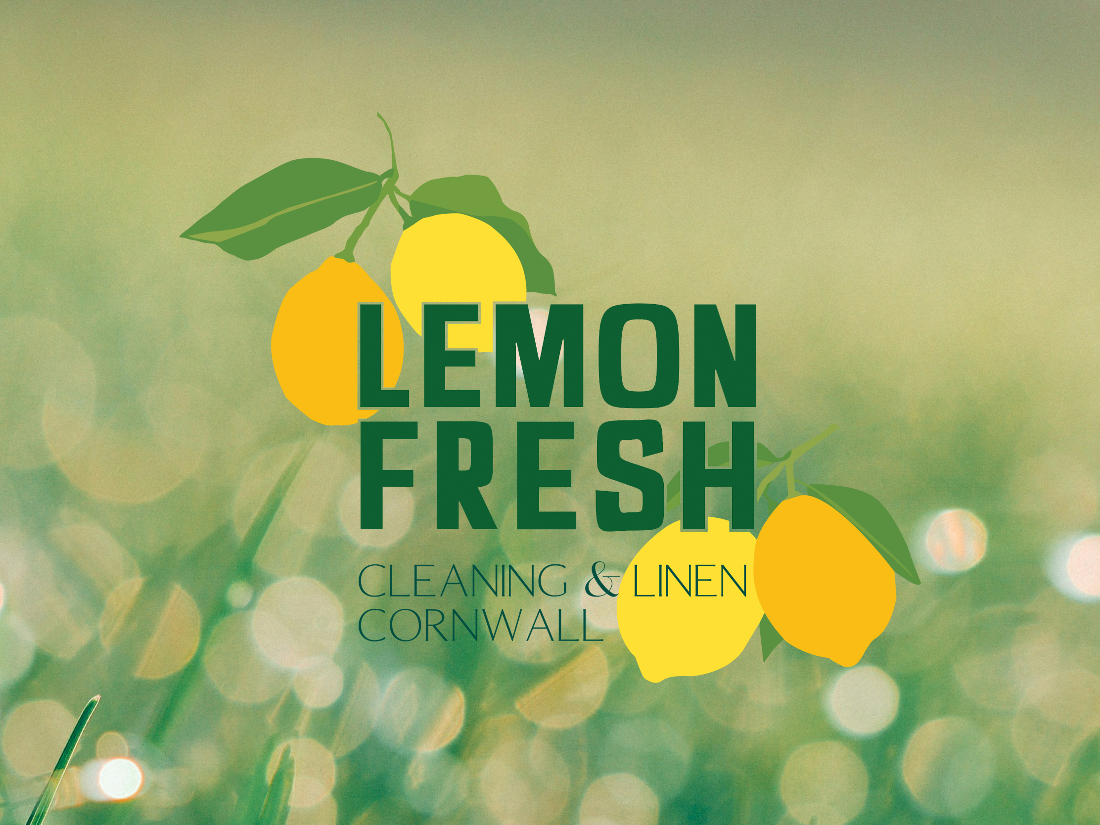 Colour palette for Lemon Fresh branding
