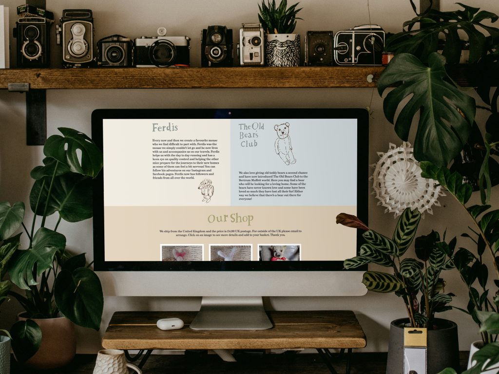 Ecommerce Website Design
