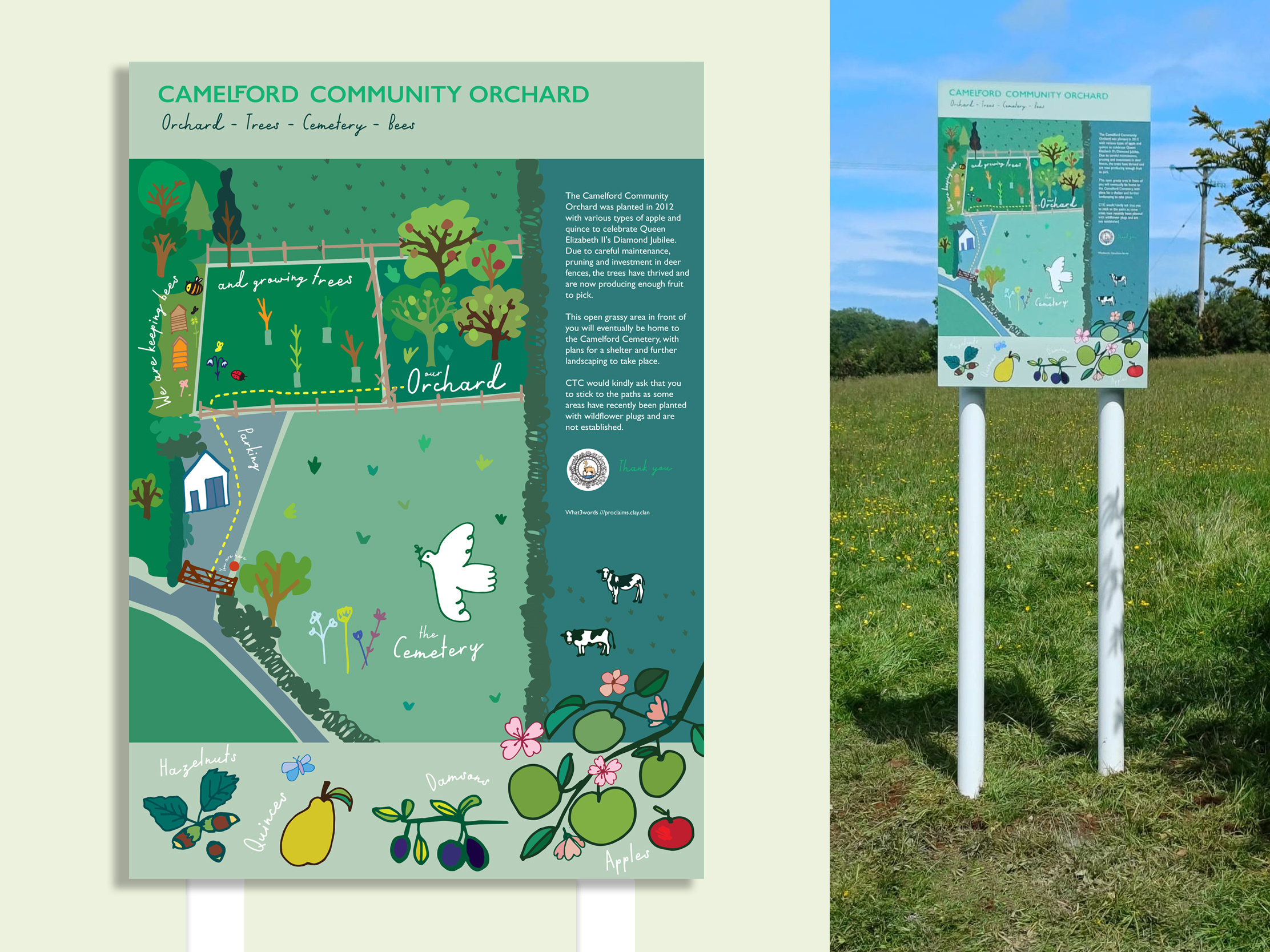 Camelford Community Orchard illustrated signage design shown alongside the installed outdoor sign
