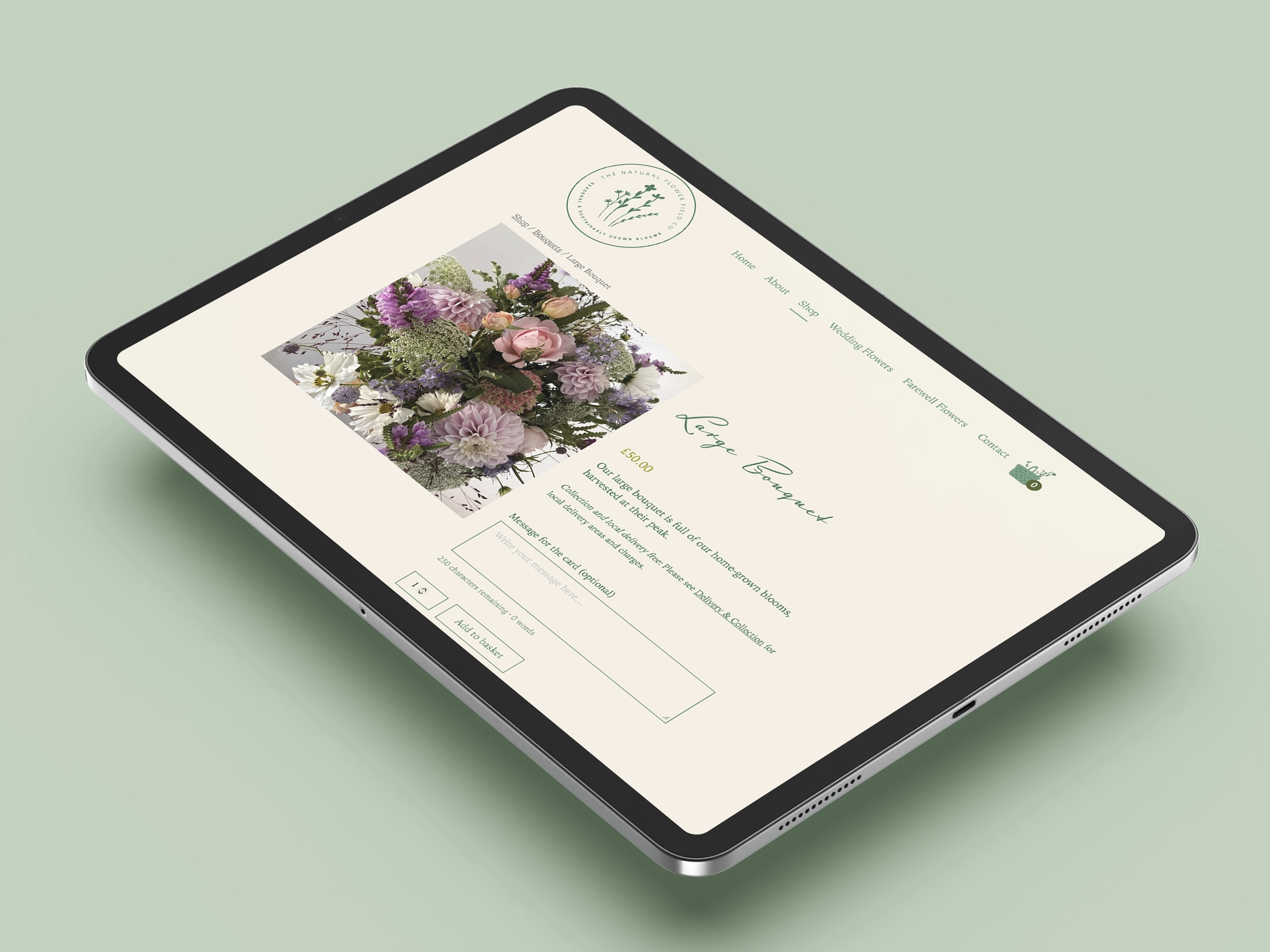 Ecommerce Design