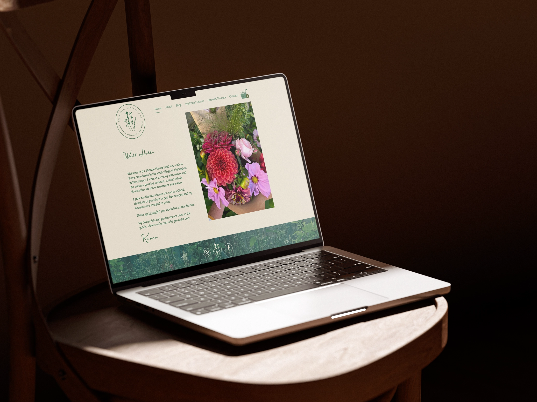 Website Design