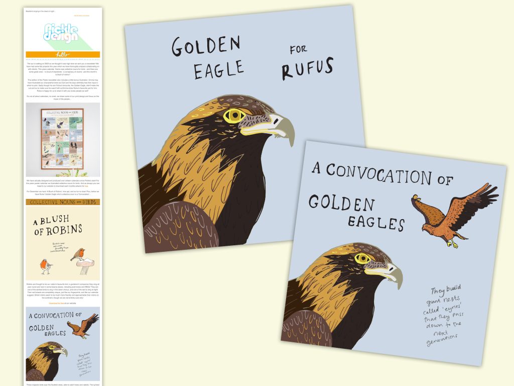 Illustration of a Golden Eagle by Emma Julian