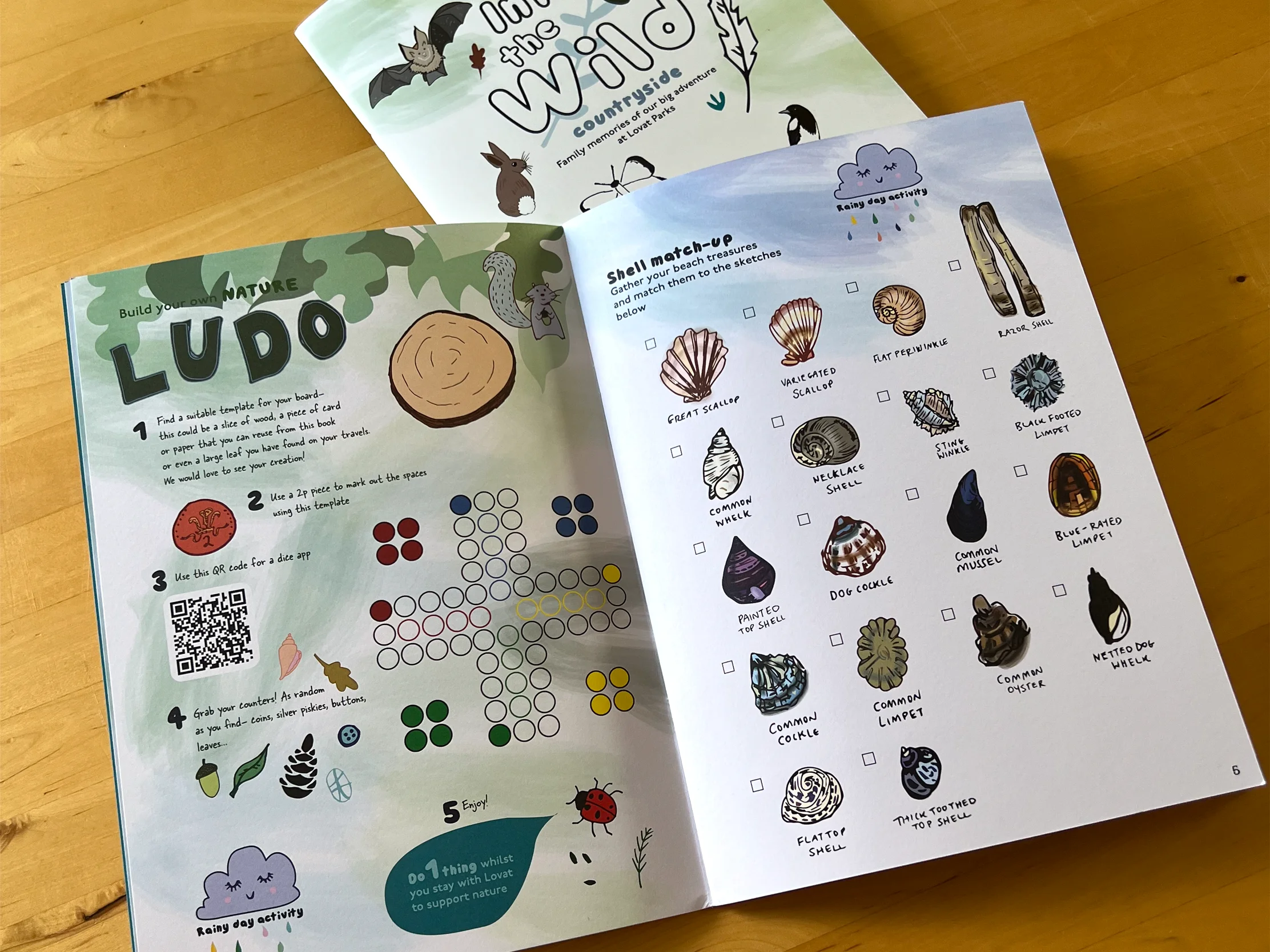 Illustrated nature activity book spread featuring Ludo and shell identification